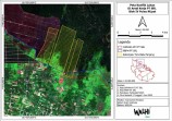 Ungkap Pelanggaran di Pulau Rupat Bengkalis dan Rangsang Meranti, Walhi Riau Desak Kemenhut Evaluasi Izin PT SRL