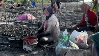 M4CR Libatkan 1.128 Warga Riau Untuk Rehabilitasi Mangrove