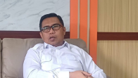 BKSDA Jambi Pasang Kalung Pelacak Gajah di Bukit Tigapuluh