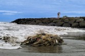 KKP Sebut Muara Sungai  Salah Satu Titik Krusial Masalah Sampah Plastik di Padang