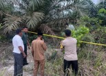 Mayat Bayi Laki-laki Ditemukan Dalam Kantong Plastik di Kampar