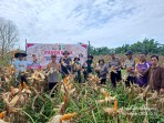 Polsek Kandis Polres Siak Panen Raya Jagung Dukung Program Ketahanan Pangan Nasional