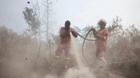 Kemenhut Intensifkan Pemadaman Karhutla di Sejumlah wilayah Riau