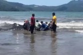 Hiu Tutul Terdampar di Pantai Cengkrong Berhasil Diselamatkan