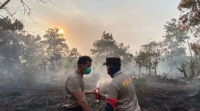 Walhi : Ancaman Karhutla di Indonesia Masih Tinggi