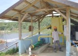 Limbah Sawit GMM di Halmahera Selatan Diolah Jadi Pupuk Untuk Suburkan Tanah