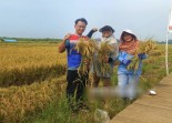 PGN Aktif dalam Pemberdayaan Ekonomi Masyarakat dan Pelestarian Lingkungan