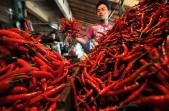 Sumbar Banjir dan Longsor, Harga Cabai di Riau Tembus Rp150 Ribu/kg