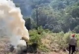 Polisi Musnahkan Ladang Ganja 10 Hektare di Pegunungan Gayo Lues Aceh