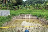 DLH Bogor Segel Pabrik Pakan Ternak yang Buang Limbah ke Sungai