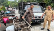 Tertangkap Basah, 8 Angkutan Liar Buang Sampah dari Kampar ke Pekanbaru