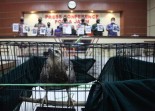 RI Terima Dua Penghargaan dari PBB karena Penegakan Hukum Lingkungan