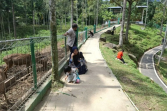 Taman Penangkaran Rusa Lampung Jadi Tujuan Wisata Edukasi di Libur Penghujung Tahun