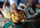 Ketahanan Pangan Nasional Didukung Inovasi Teknologi Ramah Lingkungan