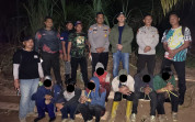 Polisi Tangkap Tujuh Pelaku Ilegal Logging di SM Rimbang Baling