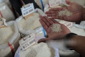 Panen Meluas, Harga Beras Mulai Turun