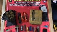Polisi di Jambi Gagalkan Peredaran 1,4 Kg Ganja di Kawasan Transmigrasi Sungai Bahar