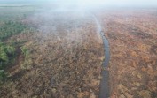 Manggala Agni Masih Berupaya Padamkan Karhutla Ratusan Hektare di Riau