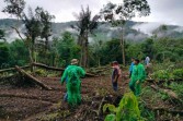 Harimau Sumatera di Pasaman Sumbar Ikuti Warga hingga Batas Kampung