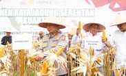 Kapolda Riau Pimpin Panen Raya Jagung 18 Ton, Dukung Ketahanan Pangan