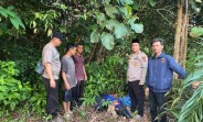 Polisi Amankan Temuan Lima Paket Diduga Ganja di Kebun Warga MendoBarat