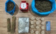 Pria 55 Tahun di Batam Ditangkap,  Simpan 2,6 Kg Ganja Siap Edar