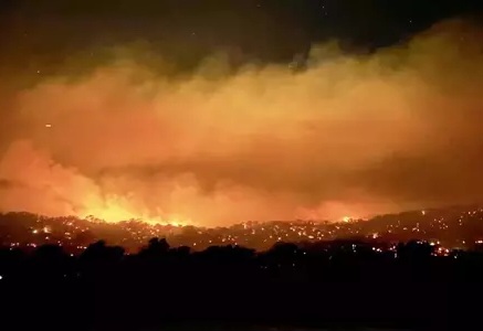 Darurat Kebakaran di Australia: 300.000 Hektare Lahan Hangus!