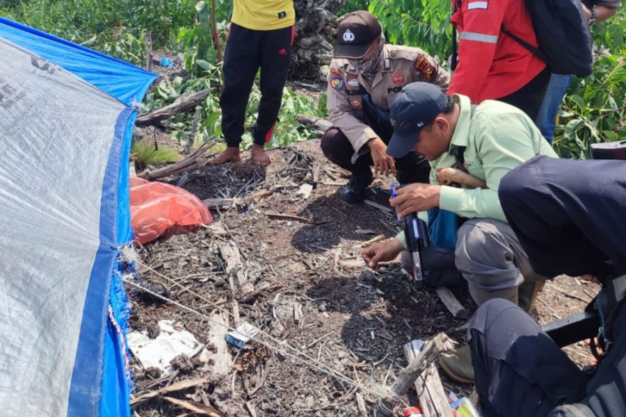 Pekerja Perkebunan Akasia Diterkam Harimau