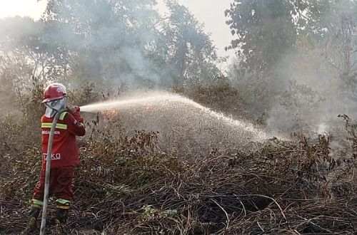 Karhutla di Tapung Kampar, Petugas Cegah Kabut Asap Sampai Pekanbaru