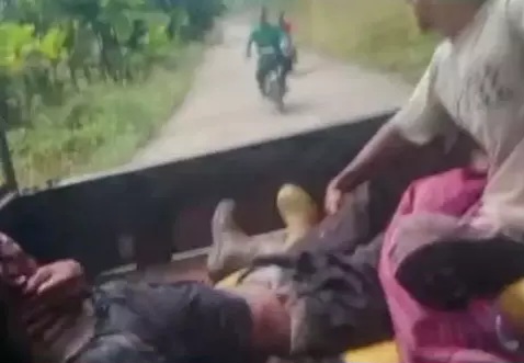 Diserang Beruang Saat Sadap Karet, Petani di Musi Rawas Luka Serius