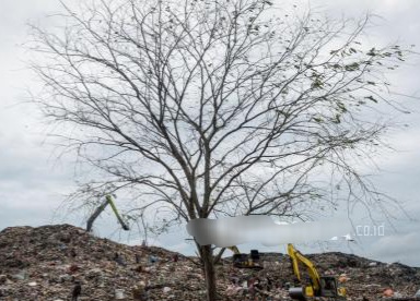Pemerintah Tutup Ratusan Lokasi Pembuangan Sampah Terbuka