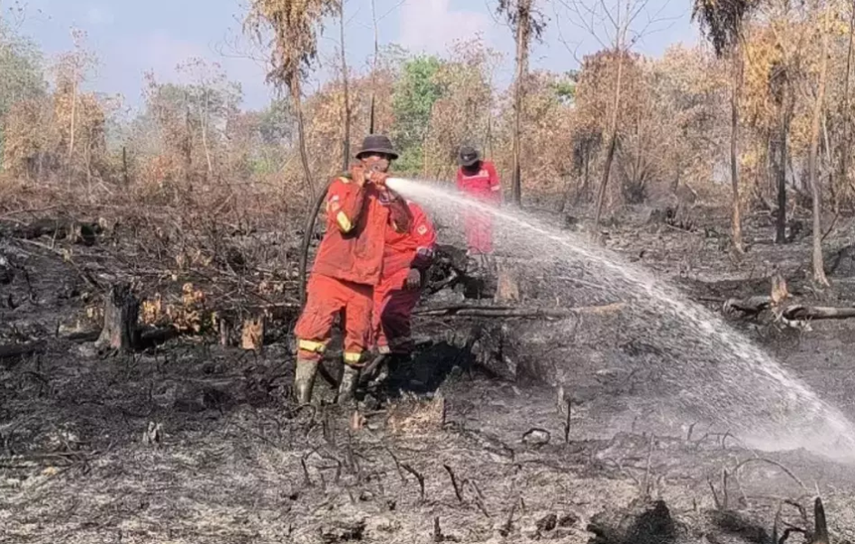 Atasi Karhulta Riau, Komisi IV Usul Helikopter untuk Dalkarhut