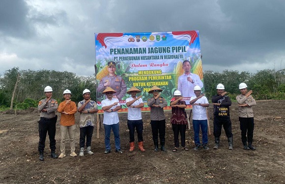Sukses Padi Gogo, PTPN IV Regional III Bersama Polri Perkuat Ketahanan Pangan Melalui Budidaya Jagung