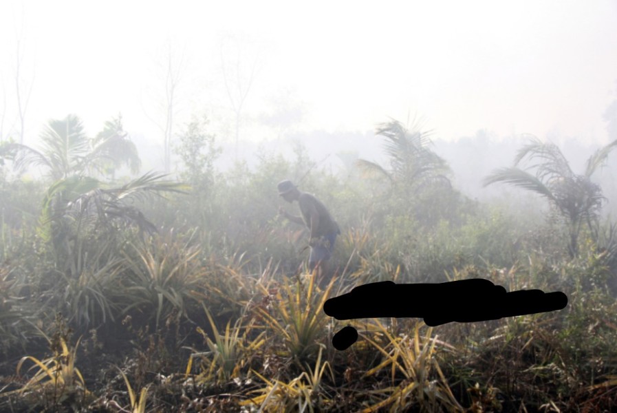 Karhutla Riau Memburuk, Pemerintah Kerahkan 120 Manggala Agni dan Lakukan OMC