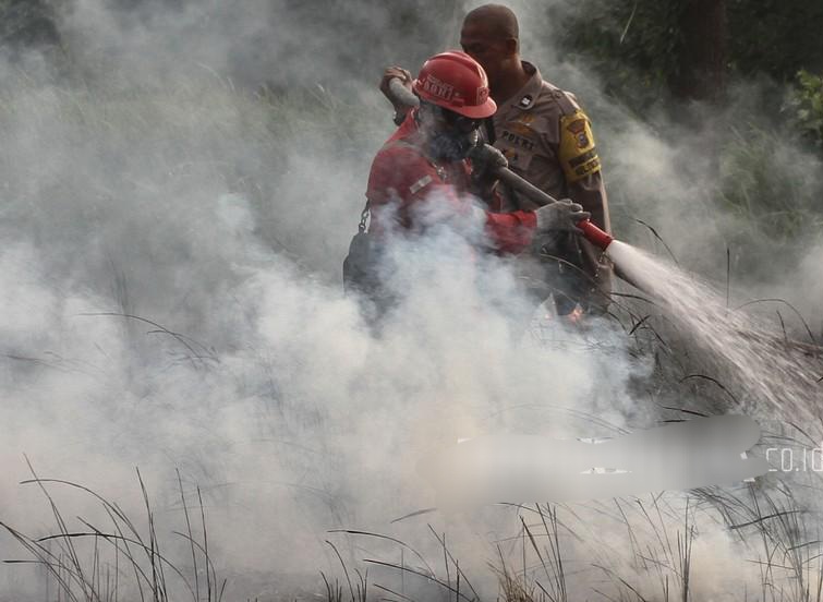 Antisipasi Karhutla, Pemprov Riau Larang Aktivitas di Lokasi Bekas Kebakaran