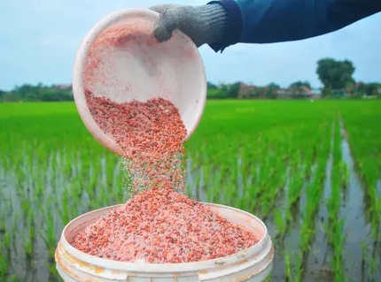 Angkutan Pupuk KAI Alami Kenaikan Drastis 94 Persen