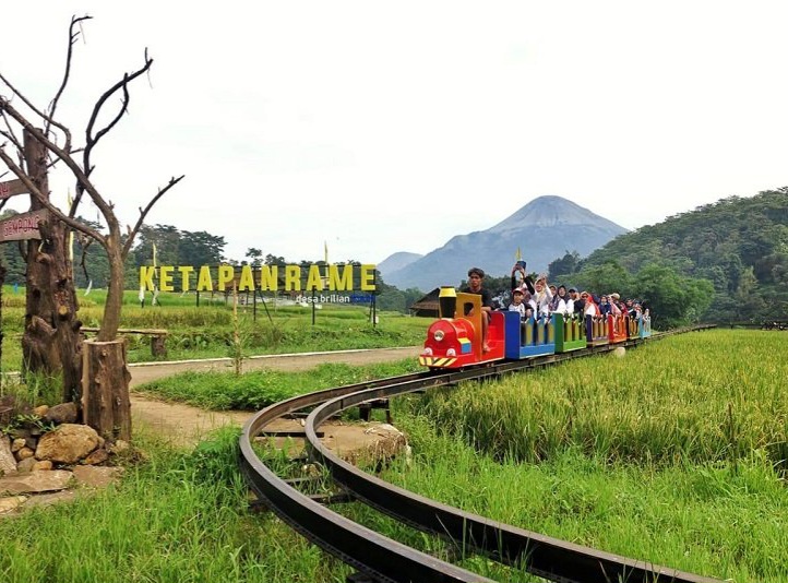 Jangkau 5.245 Desa BRILiaN, BRI Perluas Dukungan bagi Pengembangan Ekonomi Desa