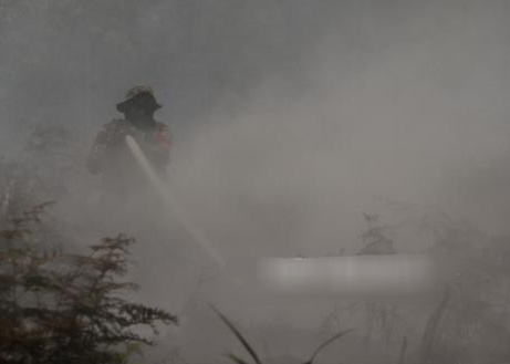 Manggala Agni Padamkan 50 Hektare Karhutla di Riau