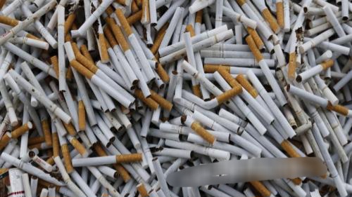 Bea Cukai Pantoloan Tindak 240 Ribu Batang Rokok Ilegal di Jalan Trans Parigi-Palu