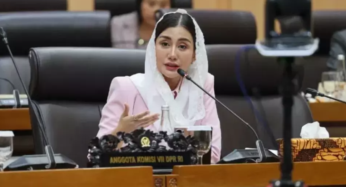 Dukung Demo Mahasiswa, Politisi PDIP Minta Aksi Digelar secara Damai