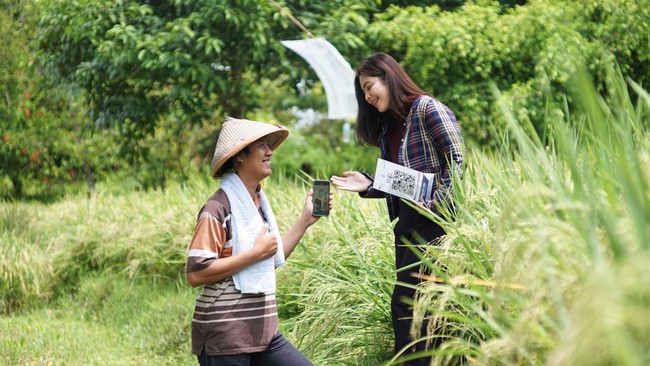 Pembiayaan KUR BRI Dorong Kenaikan Omzet UMKM hingga Dobel Digit