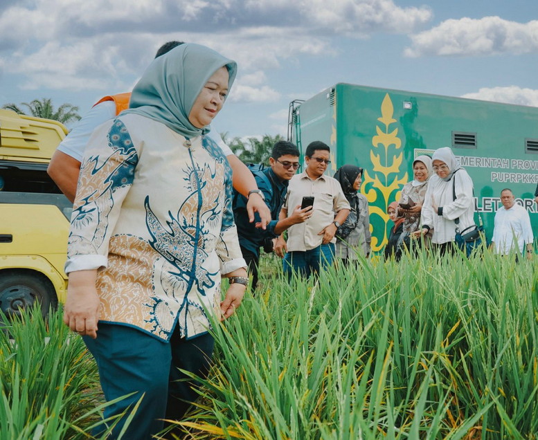 Kemenko Pangan Proyeksi Padi di Areal PSR PTPN IV Regional III Hasilkan 50 Ton Gabah