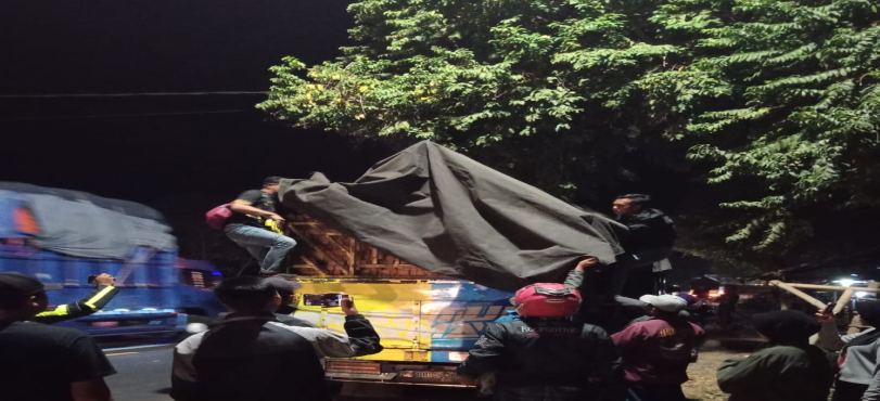 Pembalakan Liar di Kawasan Konservasi Terungkap, 1.366 Batang Kayu Ilegal Disita
