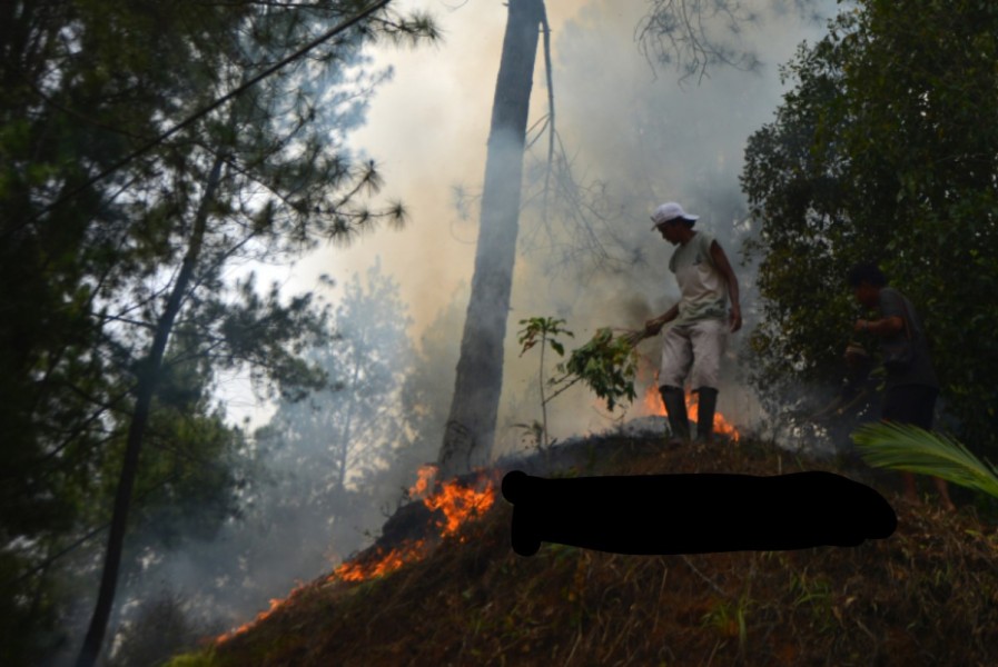 Karhutla Bermunculan, Patroli Terpadu dan Modifikasi Cuaca Digencarkan
