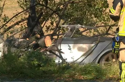 Pintu Elektrik Gagal Dibuka, 3 Orang Tewas Terbakar di dalam Tesla