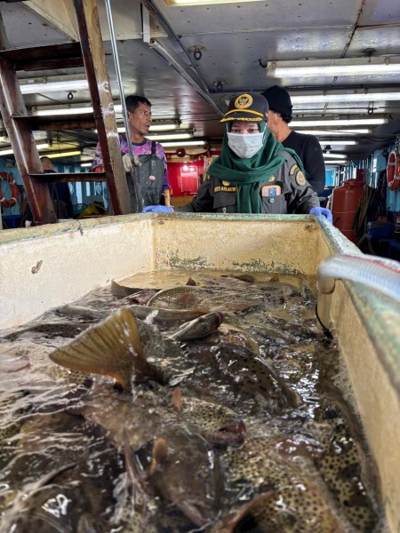 Ekspor Perdana 2026, 8,3 Ton Ikan asal Natuna tembus ke Hong Kong