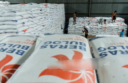 Bulog Optimistis Serapan Beras Tembus Empat Juta Ton