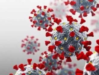 Dinkes Riau Belum Ditemukan Kasus Baru Influenza A di Riau