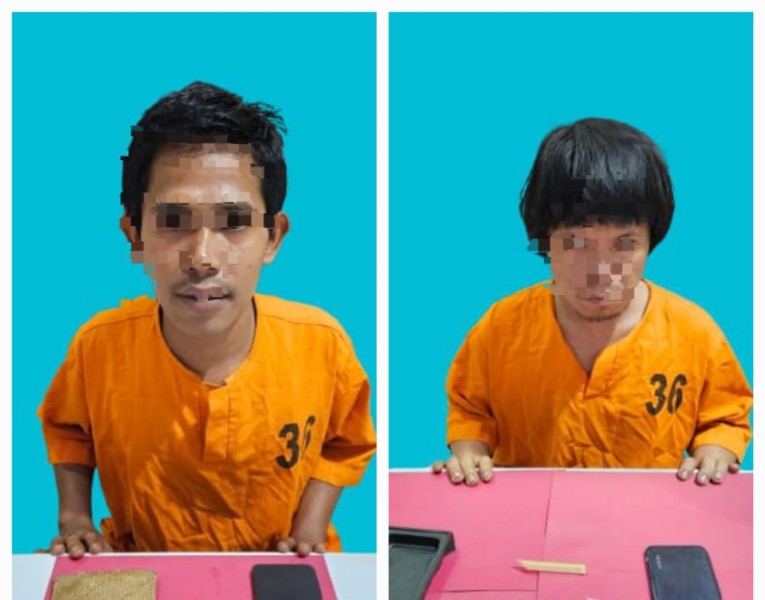 Bongkar Kasus Narkoba, Polisi Pelalawan Sita Puluhan Paket Sabu