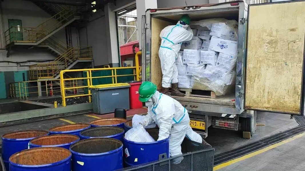 Kementerian LH Musnahkan 7,4 Ton Udang Terkontaminasi Cesium 137